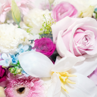 Candied Blooms