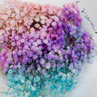 Enchanted Ensemble