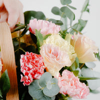 Pastel Passion