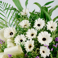 Peaceful Tribute