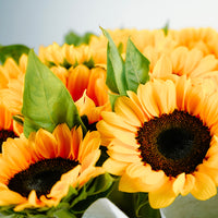 [PRE-ORDER ONLY] Royal Sunflower